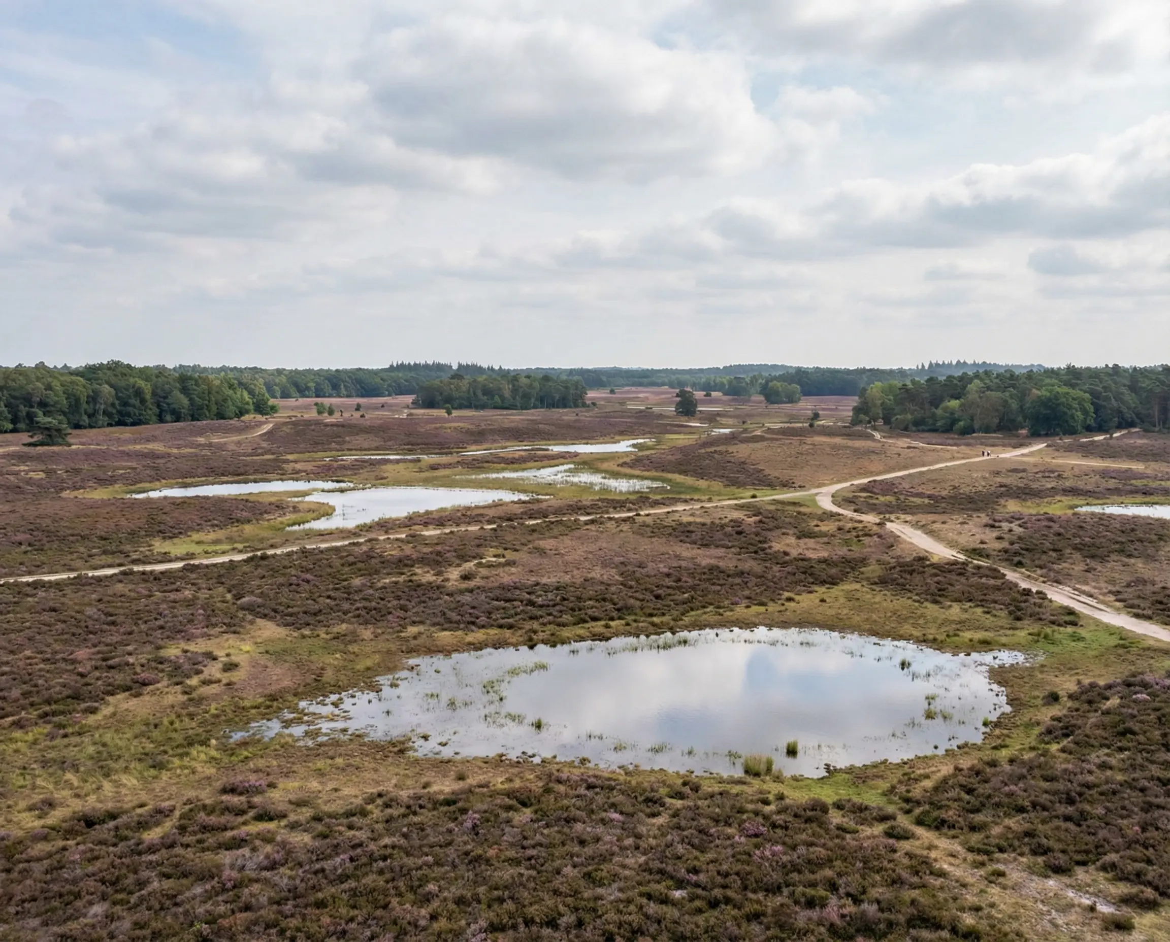 Nationaal Park Dwingelderveld