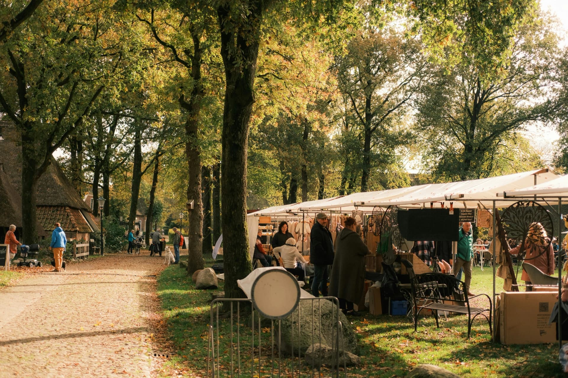 Fietsen door de Drentse natuur