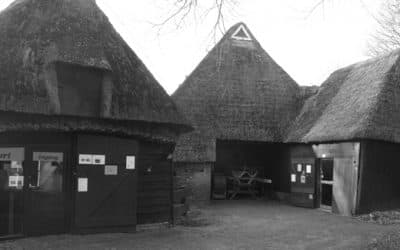 Zoo Bizar