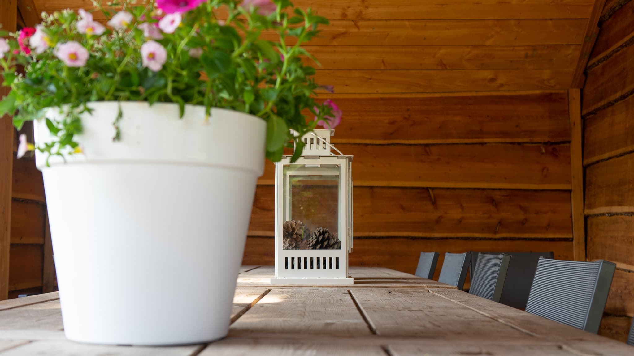 Het terras op het zuiden bij Orvelter Hof